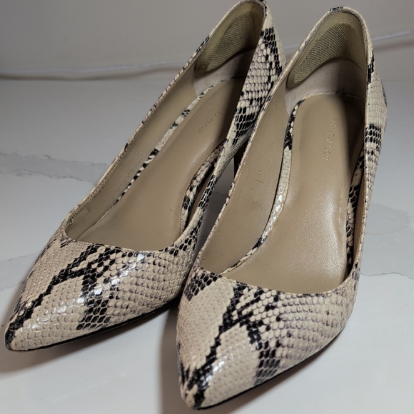 Leather Ann Taylor Snakeskin Heels - Picture 10 of 11
